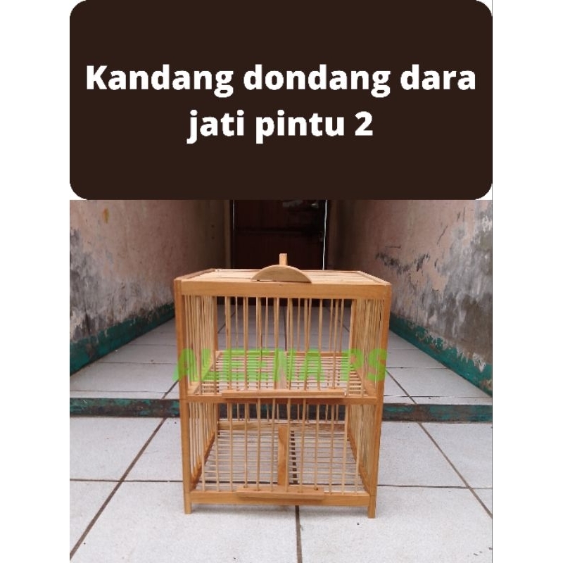 Sangkar Kandang Dondang Burung Dara Merpati Kayu Jati Pintu 2
