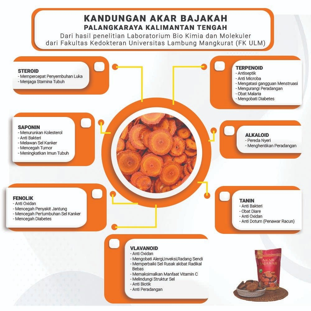 AKAR KAYU BAJAKAH TAMPALA MERAH PREMIUM ASLI ORIGINAL KALIMANTAN TENGAH