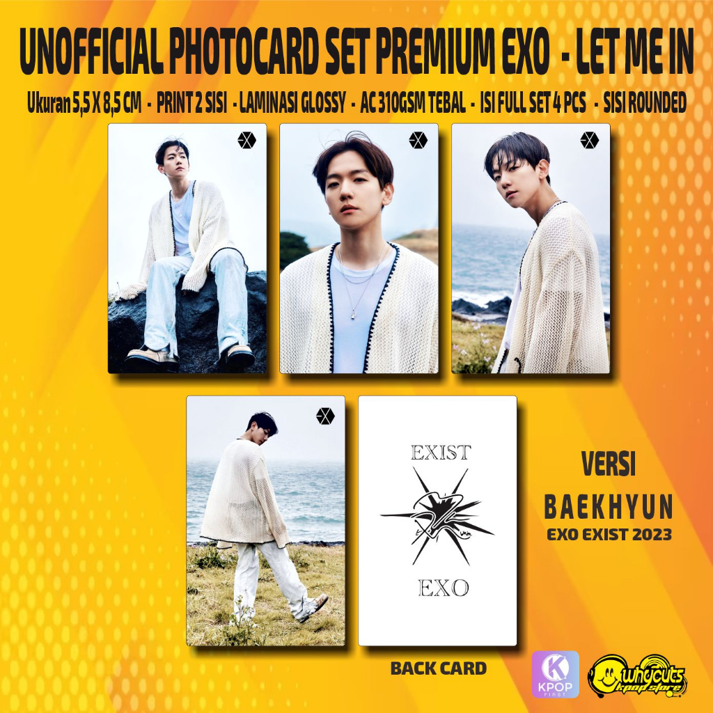 Unofficial Photocard Set Premium EXO LET ME IN / FAN MEETING 2023 / PRINT 2 SISI / ANTI AIR