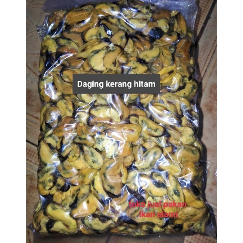 

kerang hitam kupas/Daging kerang