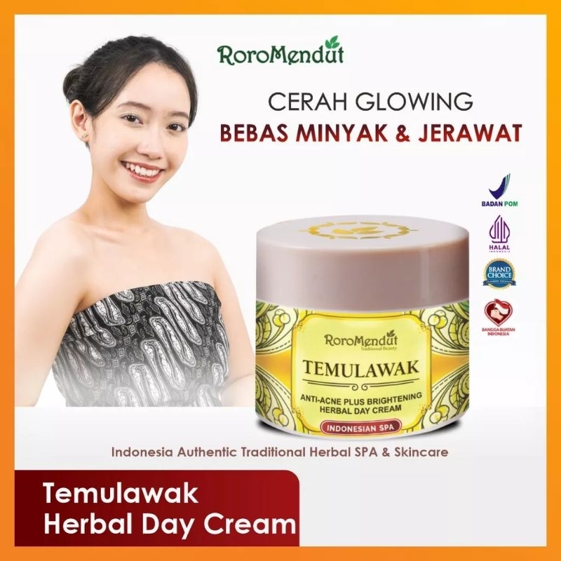 RORO MENDUT DAY CREAM TEMULAWAK ANTI ACNE