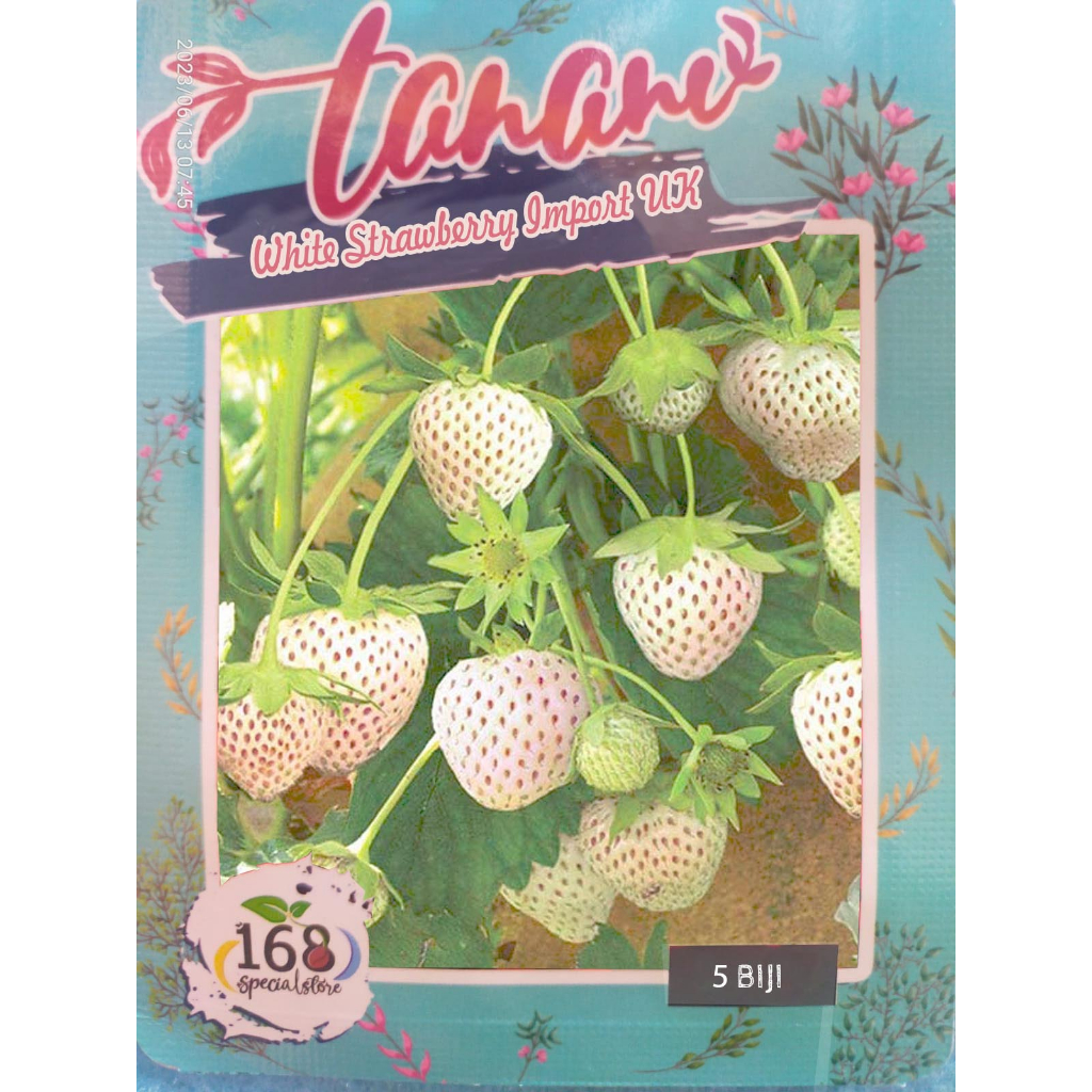 Biji Buah White Strawberry Import UK (Isi 5 biji)