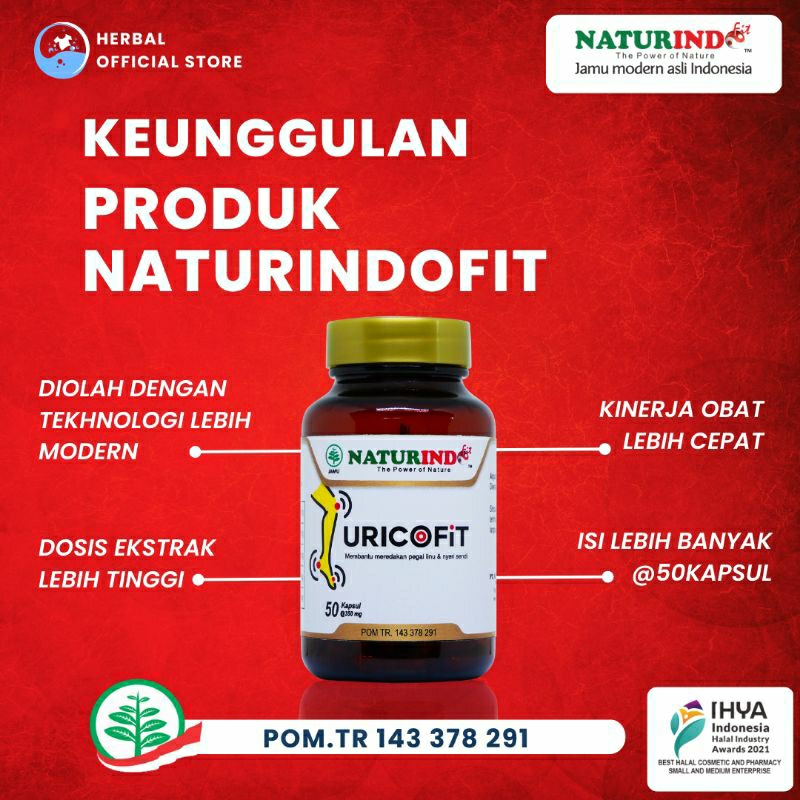 obat asam urat nyeri sendi rematik pengapuran tulang herbal ampuh