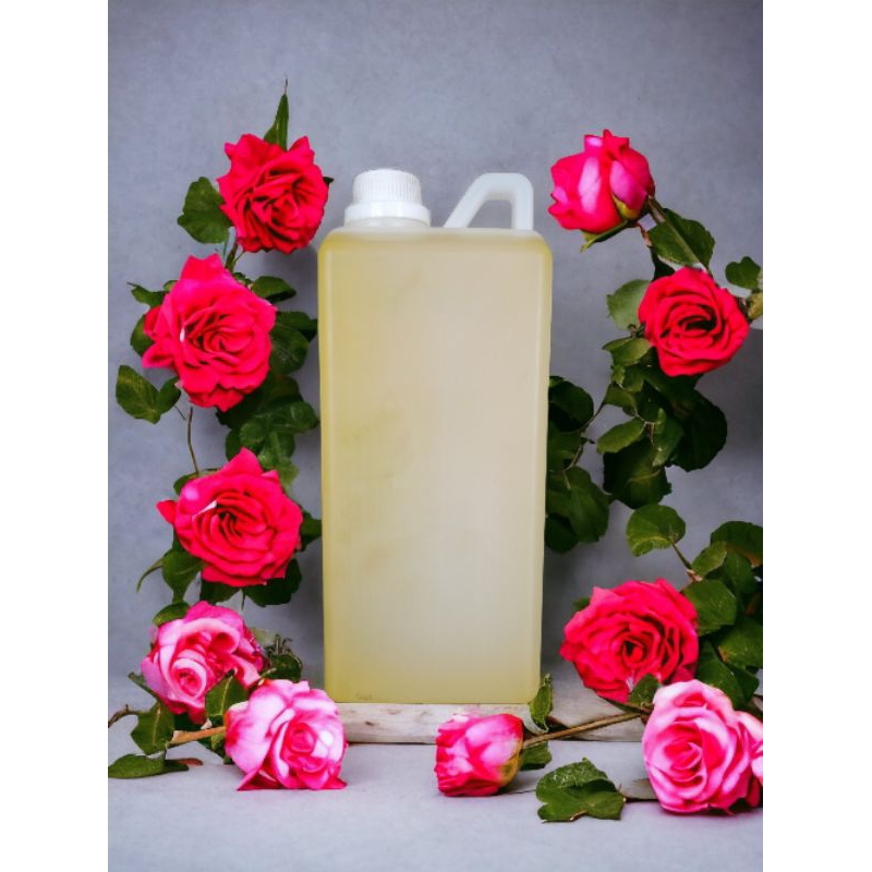 JAHE/GINGER OIL 500-1LITER