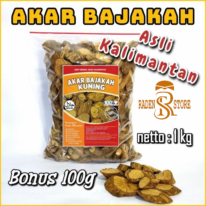 

Akar Bajakah Kuning 1 Kg Asli Kalimantan