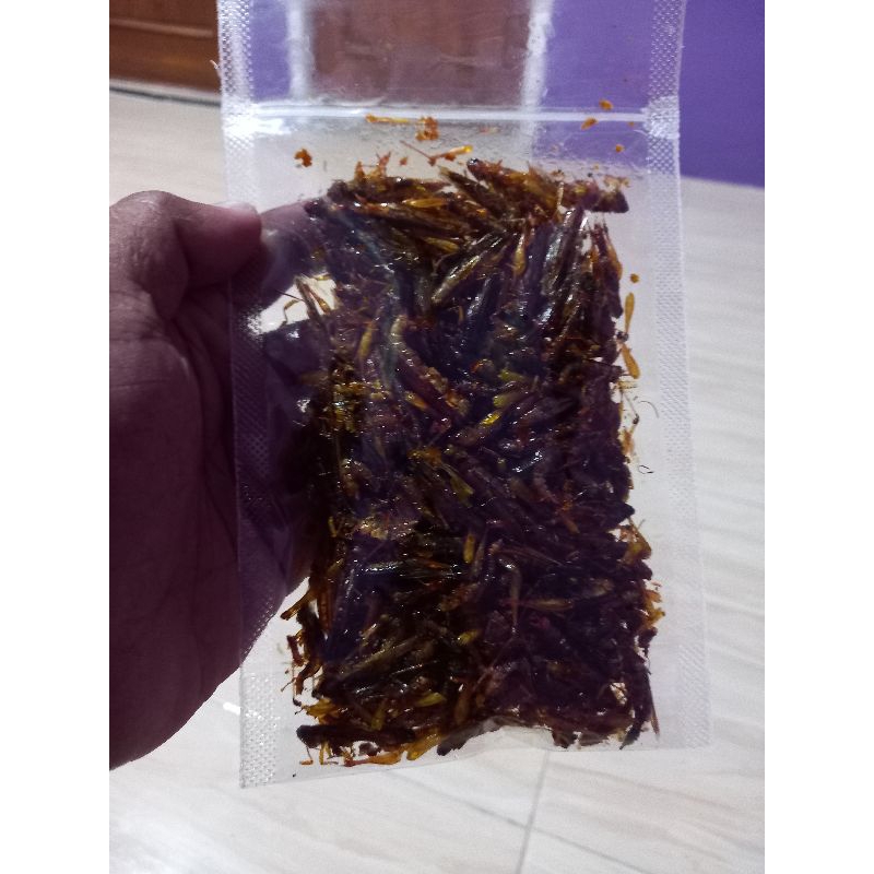 

Belalang goreng UTES 100gram