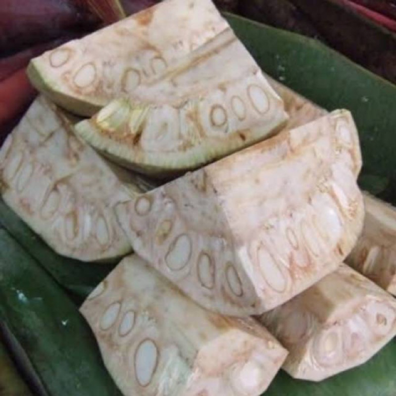 

Nangka Muda Potong / 500 gram