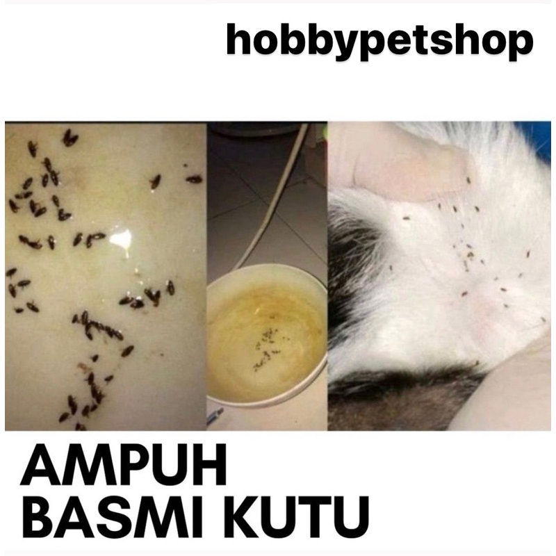 Catshamp shampo kucing 30ml - shampoo anti kutu jamur ketombe rontok gatal gatalan cat sampo sabun