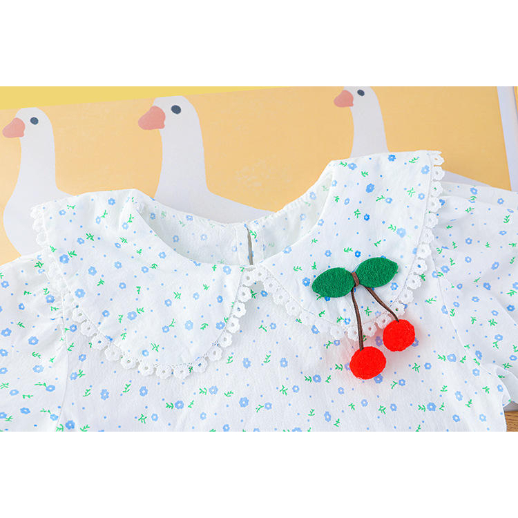 setelan anak perempuan Model celana kodok usia 6 bulan - 5 tahun Motif BLUE CHERRY ala korea