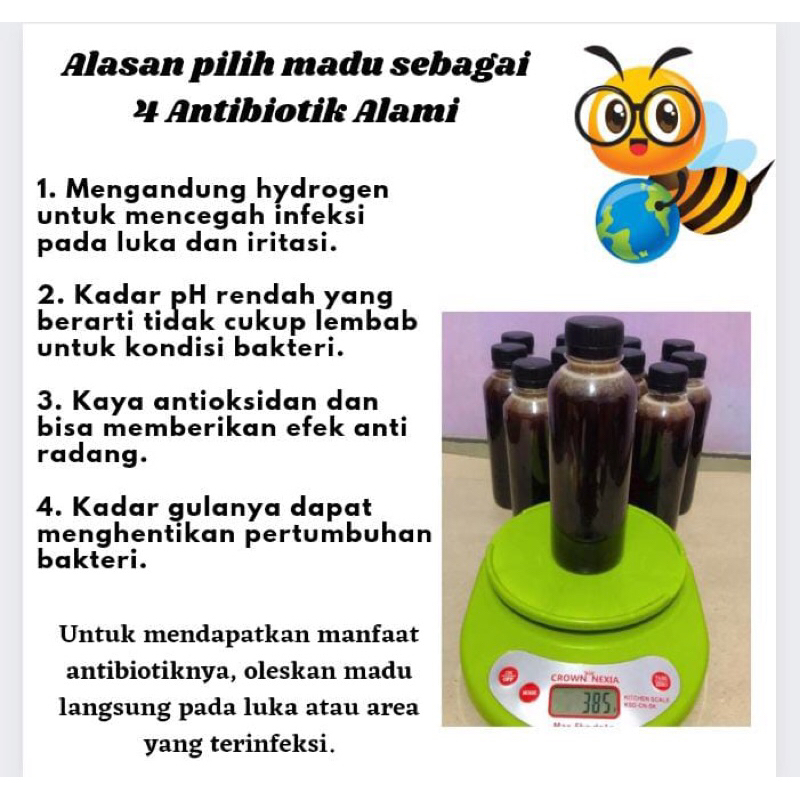 

Madu murni hutan jambi Akasia.isibersih375Gr