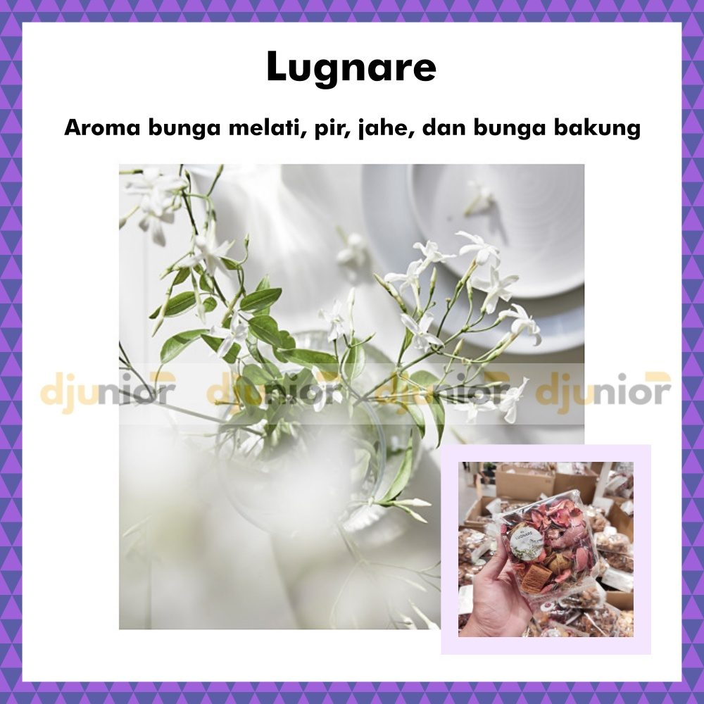 DOFTA POTPOURRI / BUNGA AROMA WANGI PEWANGI PENGHARUM RUANGAN - LIVIN