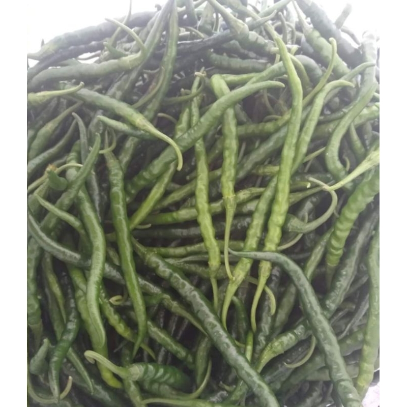 

cabe hijau keriting 250 gram