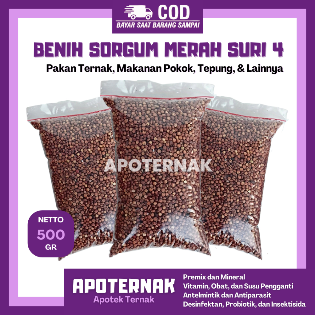 BENIH SORGUM MERAH SURI 4 | Bibit Sorgum 500 Gram | Suri 4 Sorgum Merah