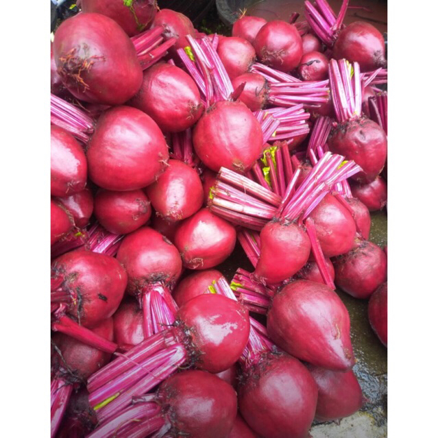 

Buah Bit Segar/Beetroot Fresh Dari kebun Kualitas Super Untuk Kesehatan