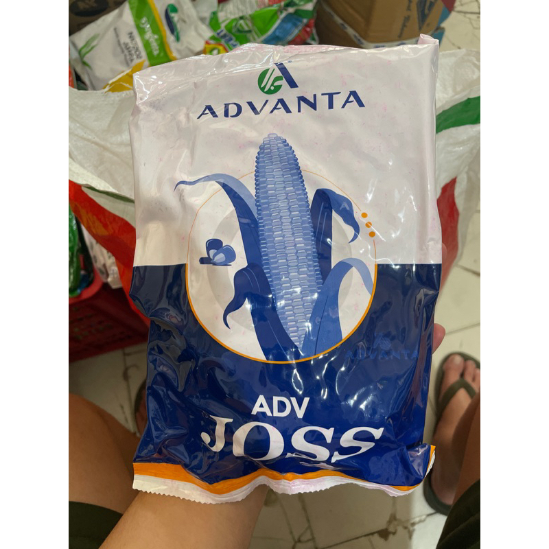 benih jagung adv joss bibit jagung adv joss kemasan 1kg KEMASAN BARU