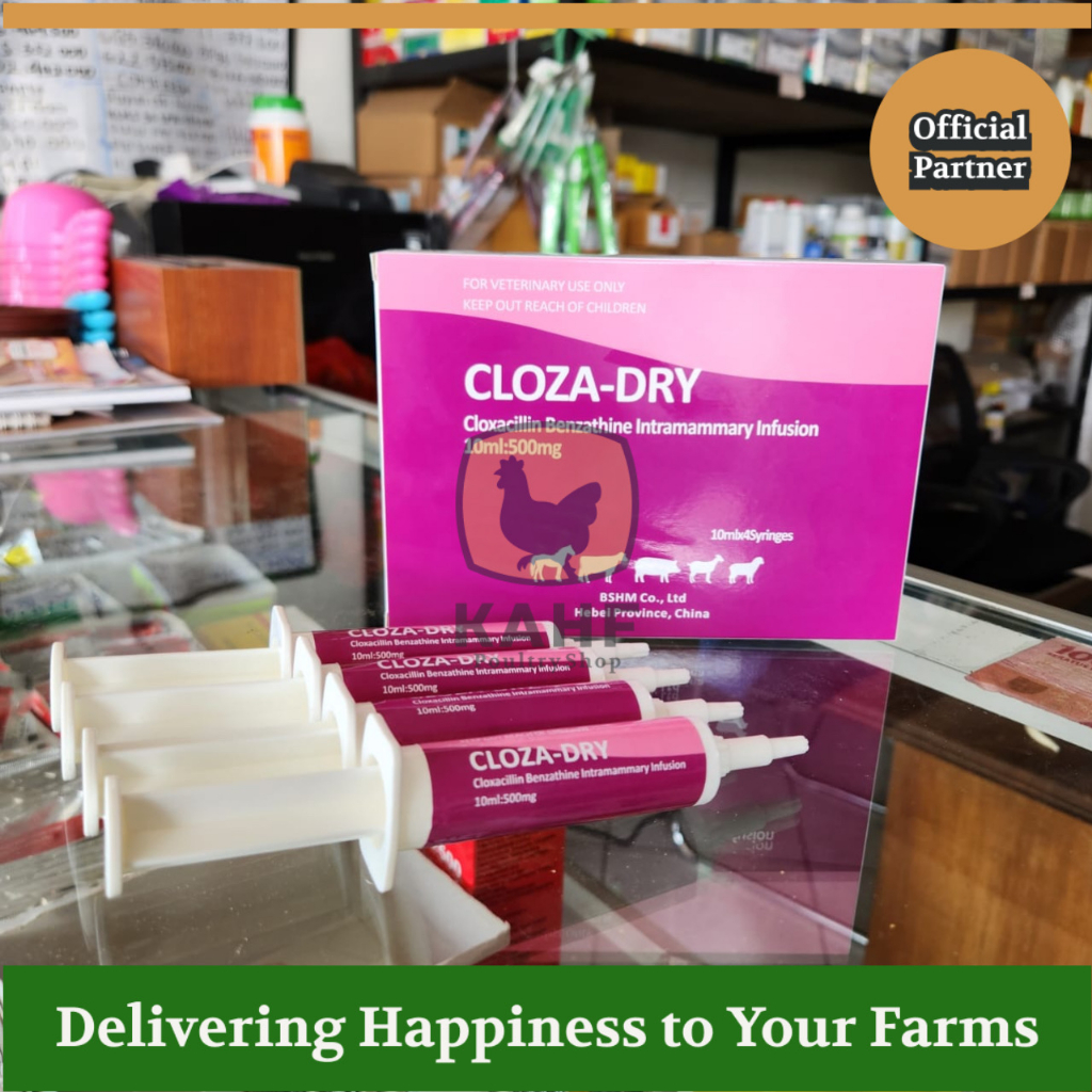 Cloza Dry 10 ml Ecer 1 piece - Obat Hewan Mastitis Masa Kering Sapi Kambing Pengganti Depolac Biomyc