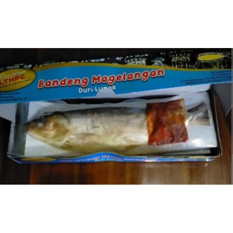 

BANDENG PRESTO MAGELANGAN (Vacum & frozen)