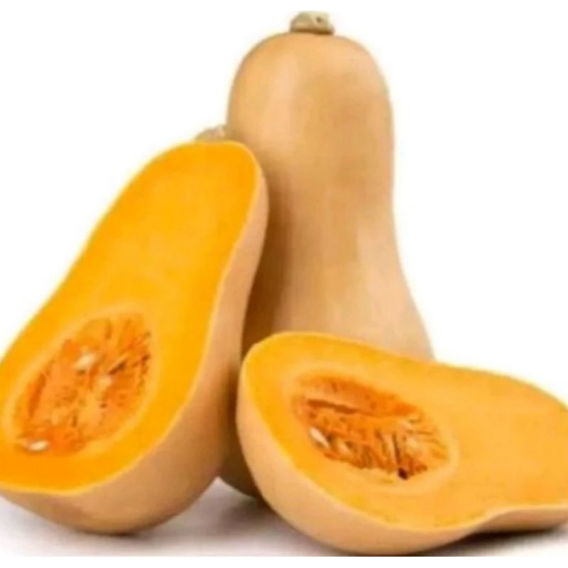 

Labu butternut 1pcs