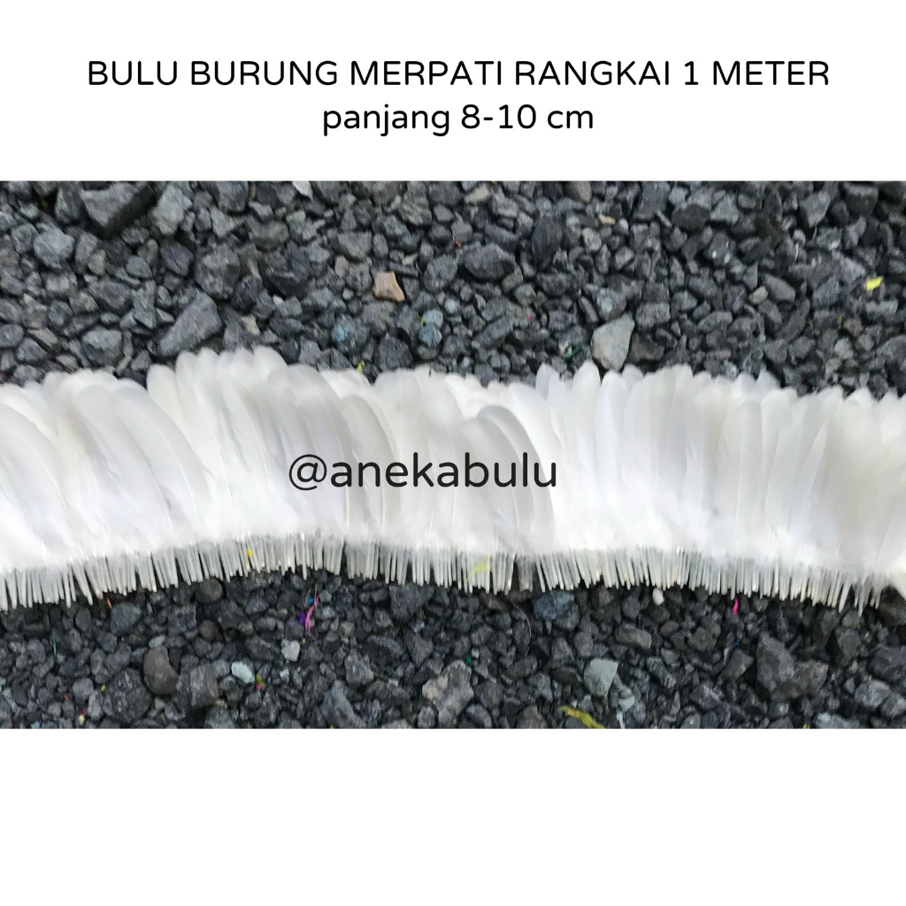 BULU BURUNG MERPATI ASLI RANGKAI 1 METER - AKSESORIS ASESORIS KERAJINAN TANGAN HIASAN KEPALA BANDANA