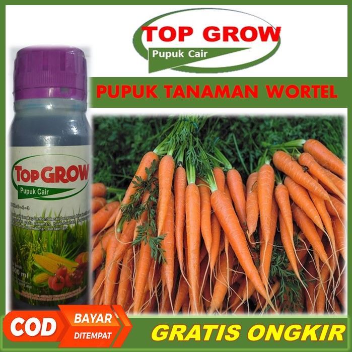 TOP GROW Pelebat Sayur Wortel Terbaik Tahan di Musim Hujan - Pupuk NPK Cair Pelebat Wortel, Pupuk Or