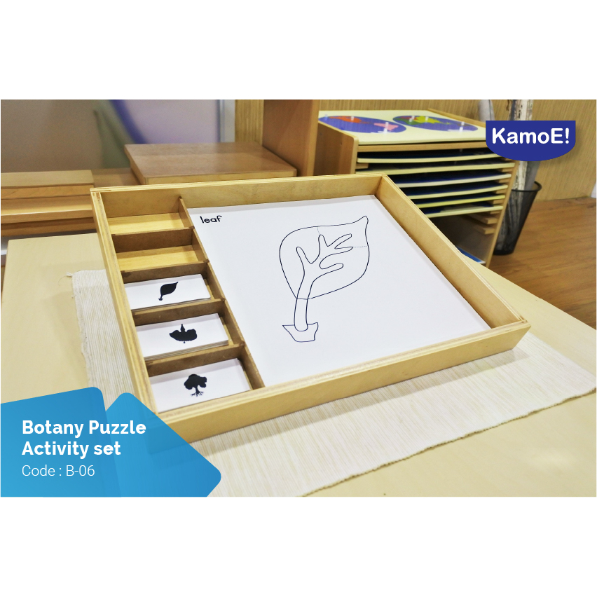 Botany Puzzle Activity Set Montessori Apparatus