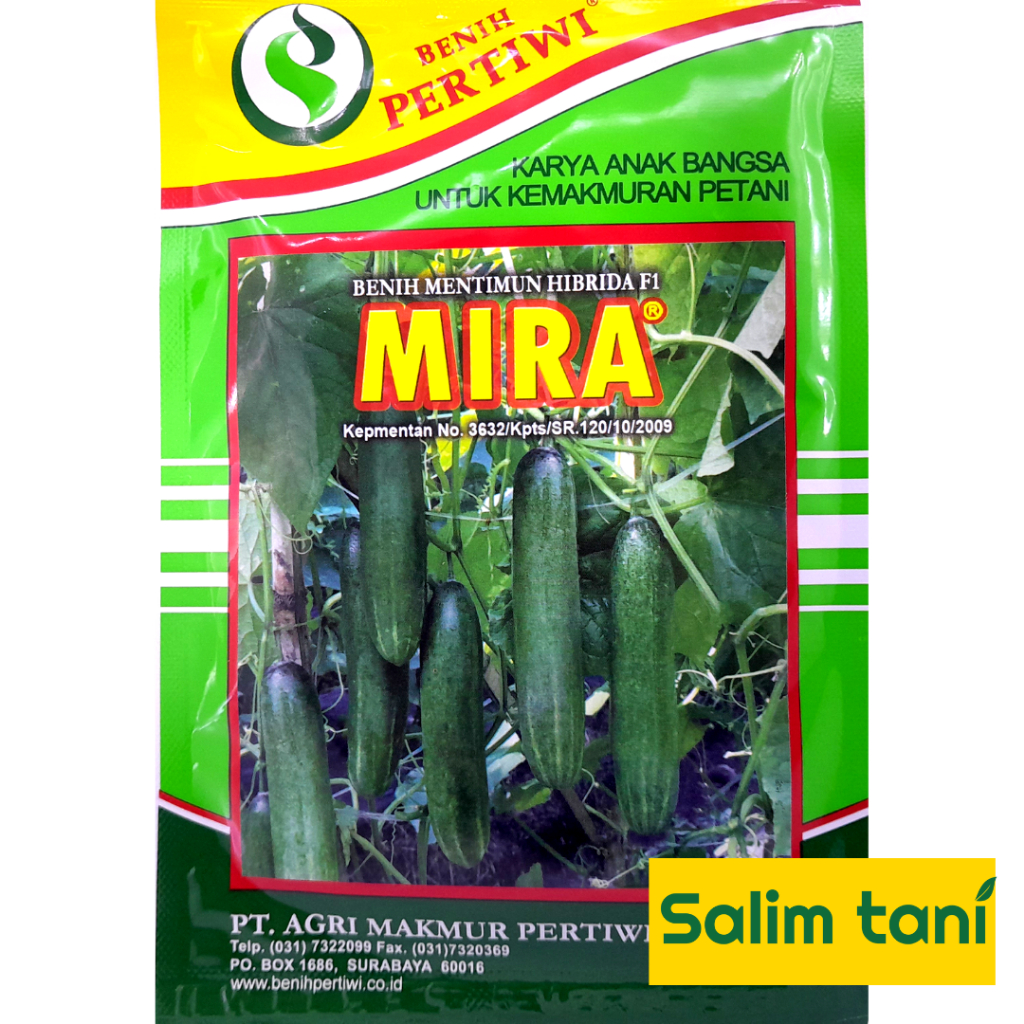 Benih Bibit timun hibrida MIRA F1 25 gram mentimun hibrida 25gr timun mira 25 gram dari benih pertiw
