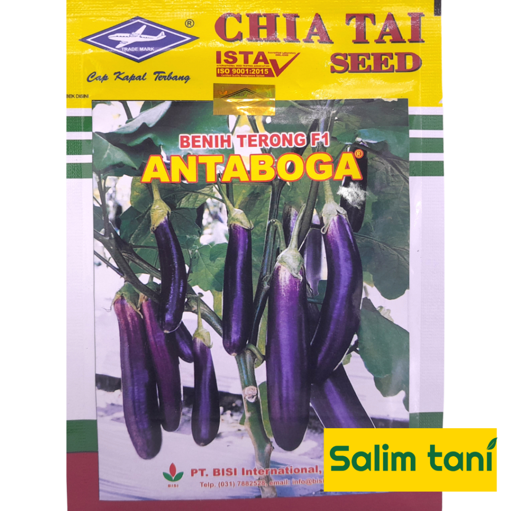 Benih Bibit Terong Ungu ANTABOGA F1 10 gram Terung Panjang Hibrida Chia Tai