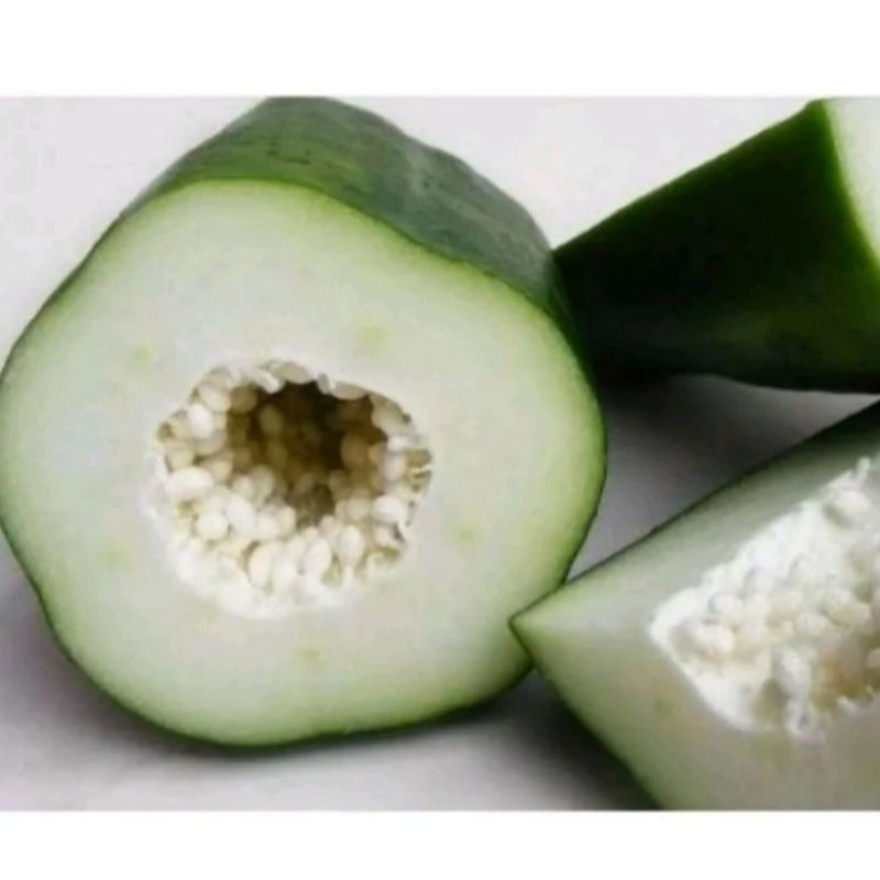 

Pepaya muda utuh 1 buah