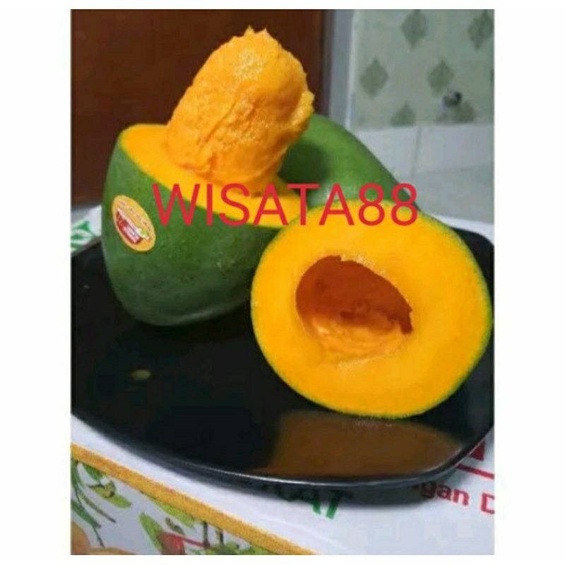 

mangga alpukat super manis grade A 500gr