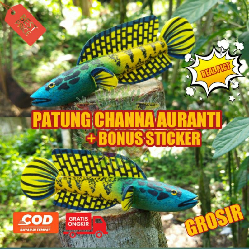 Patung Channa Auranti + Bonus Sticker