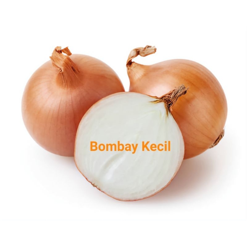 Bawang Bombay Kecil 250 Gram