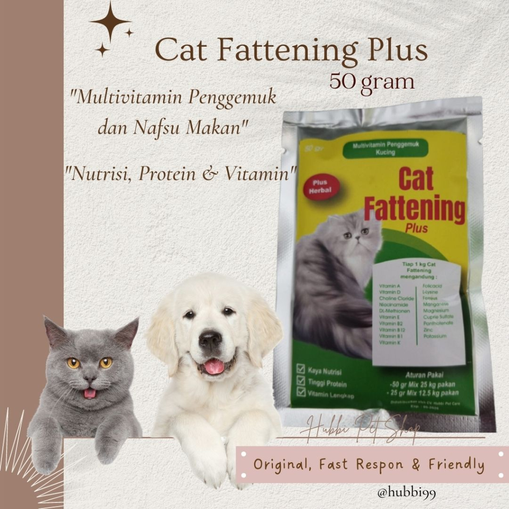 vitamin kucing nafsu makan-BODY FAT-Cat Fattening Plus 50 gram-multivitamin penggemuk kucing kitten