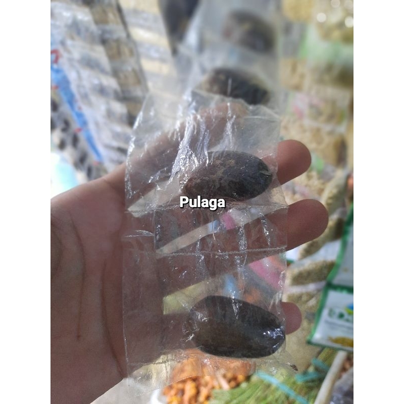 

Pulaga Rempah dapur