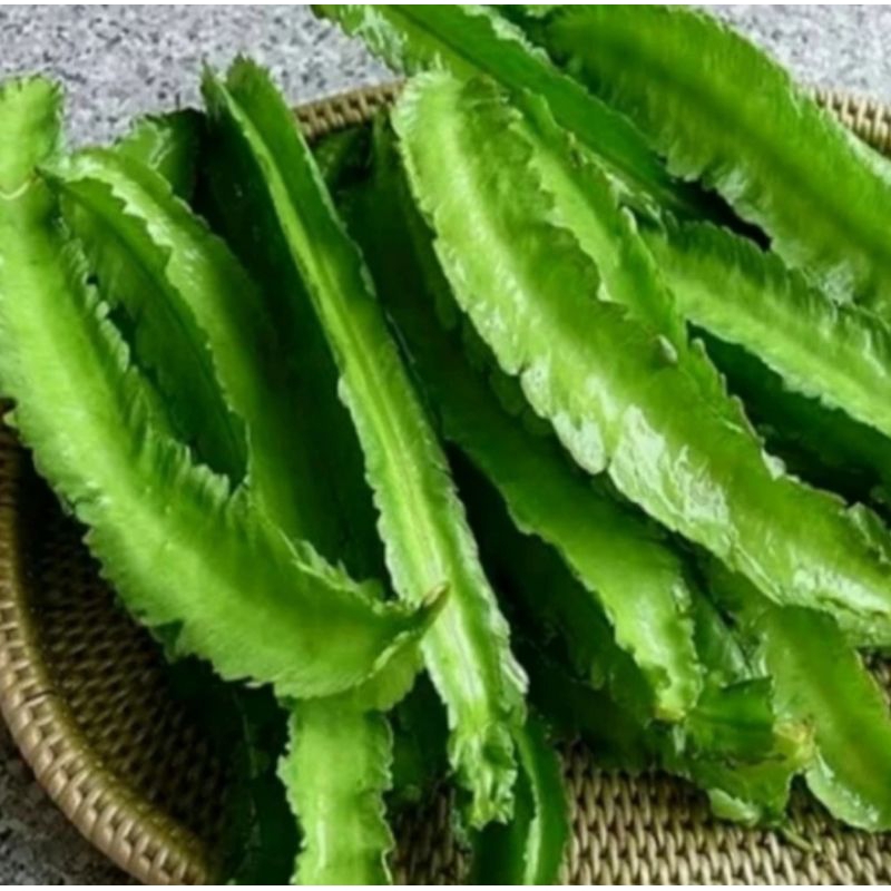 

Kecipir segar 500gr
