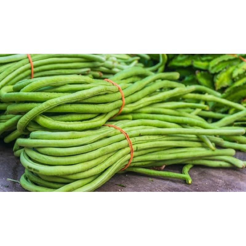 

kacang panjang/ sayuran segar/ sayur fresh