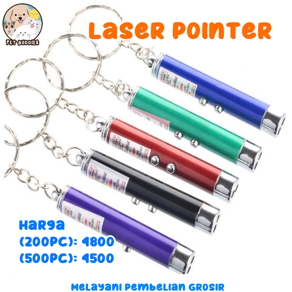 Laser Pointer FREE BATERAI Multifungsi Mainan Kucing/Anjing Kejar Interaktif