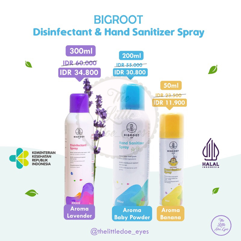 Bigroot Disinfectant / Hand Sanitizer Spray