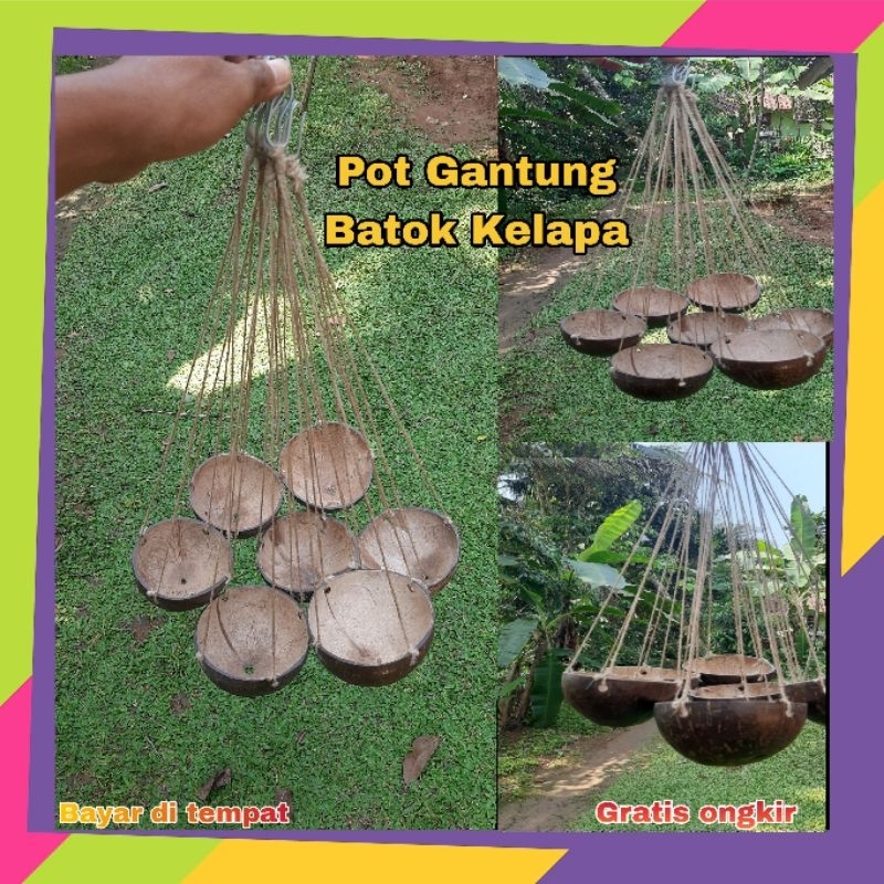 Pot Gantung Batok Kelapa/Pot Bunga Batok Kelapa/Sabut Kelapa/Pot Tempurung Batok Kelapa