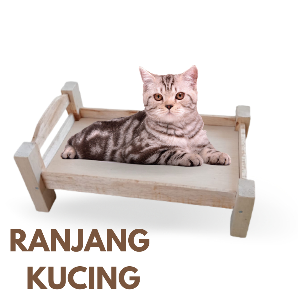 Ranjang Kucing Unik Kasur Kucing Dipan dan Tempat Tidur Kucing Unik Natural Kayu