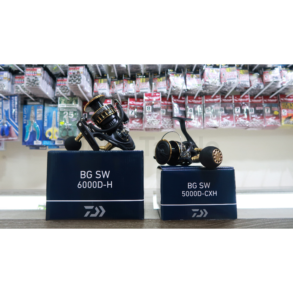 Reel Daiwa BG SW 2023 Spinning