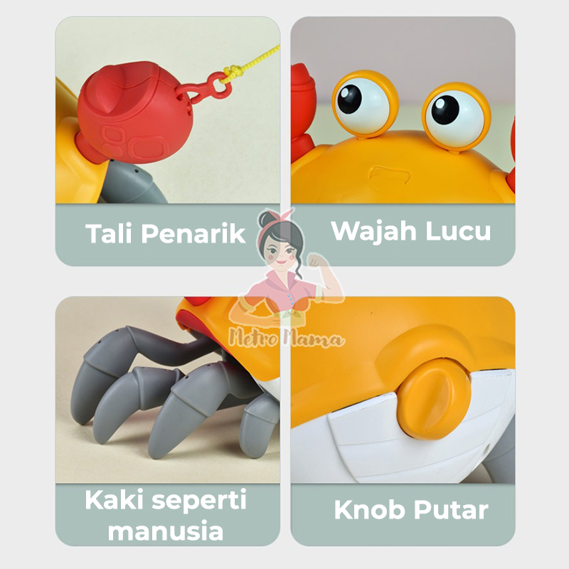 Mainan Air Mandi Tarik Kepiting Anak Bayi Lucu Kids Bath Toys