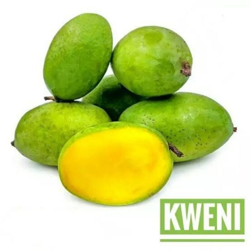 

Mangga Kweni / Mangga Rujak Aceh / Mangga Kwini