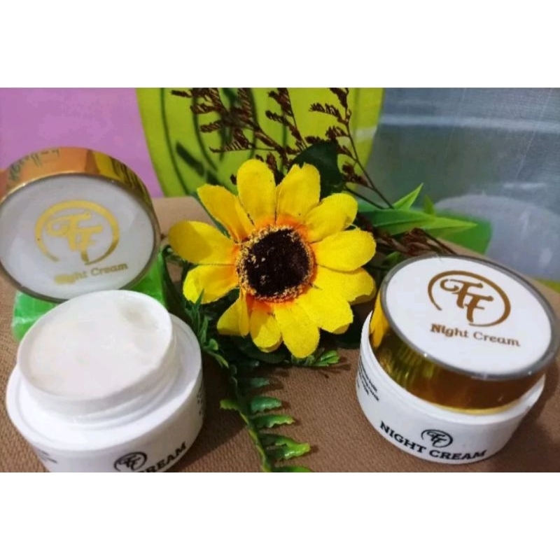 ECER CREAM MALAM/NIGHT CREAM GLOW FF FENNY FRANS ORI