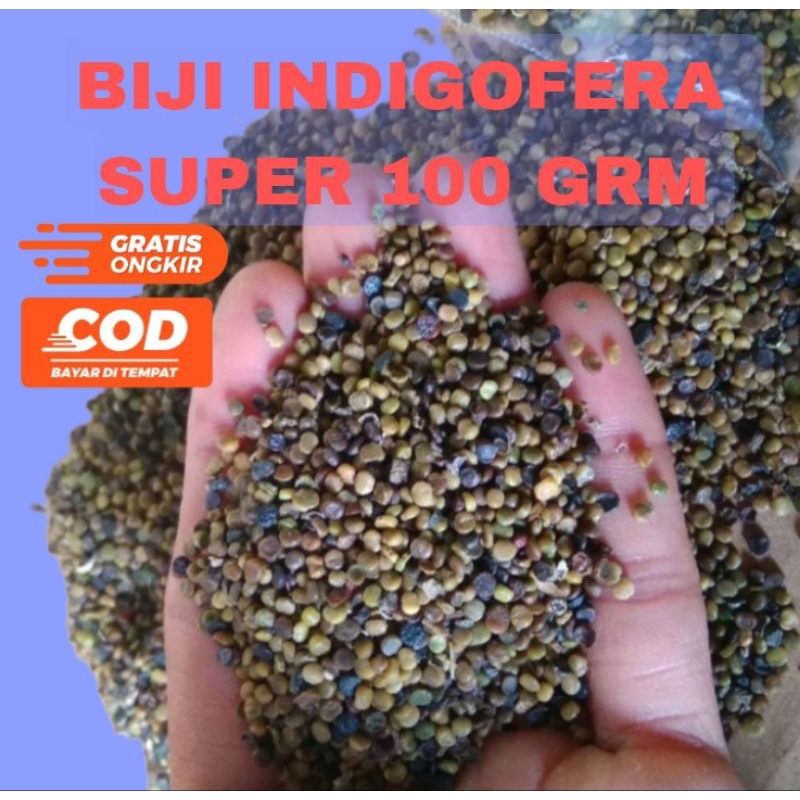 

BIJI INDIGOFERA 100 GRM pakan ternak biji Indigofera super