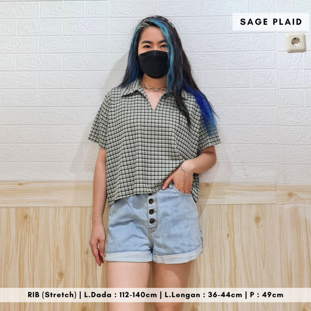 4832 starshire plaid collar vee rib top