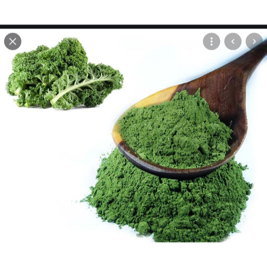 

Tepung Kale kemasan 500 gram/Bubuk Kale kemasan 500 gram