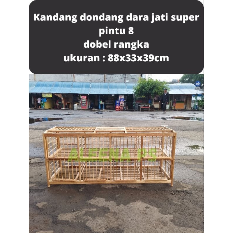 sangkar kandang dondang burung dara merpati kayu jati dobel rangka pintu 8