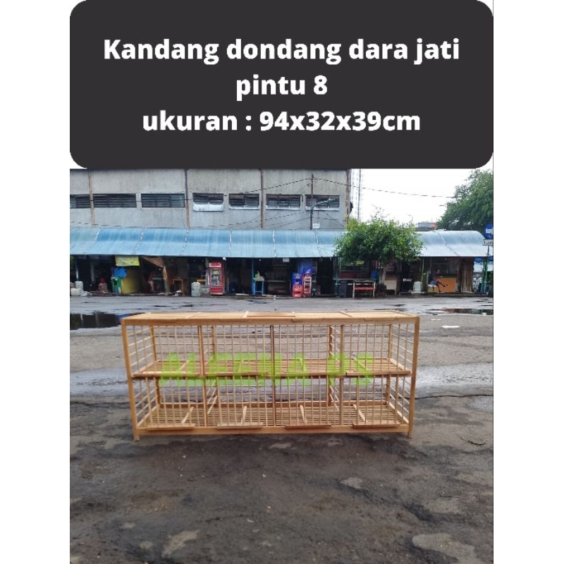 sangkar kandang dondang burung dara merpati kayu jati pintu 8