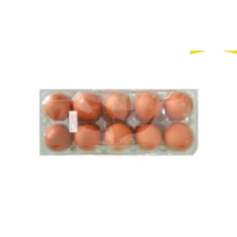 

Puri Segar Shop, Telur Ayam isi 10 & 16 Pcs - Kurir Instant