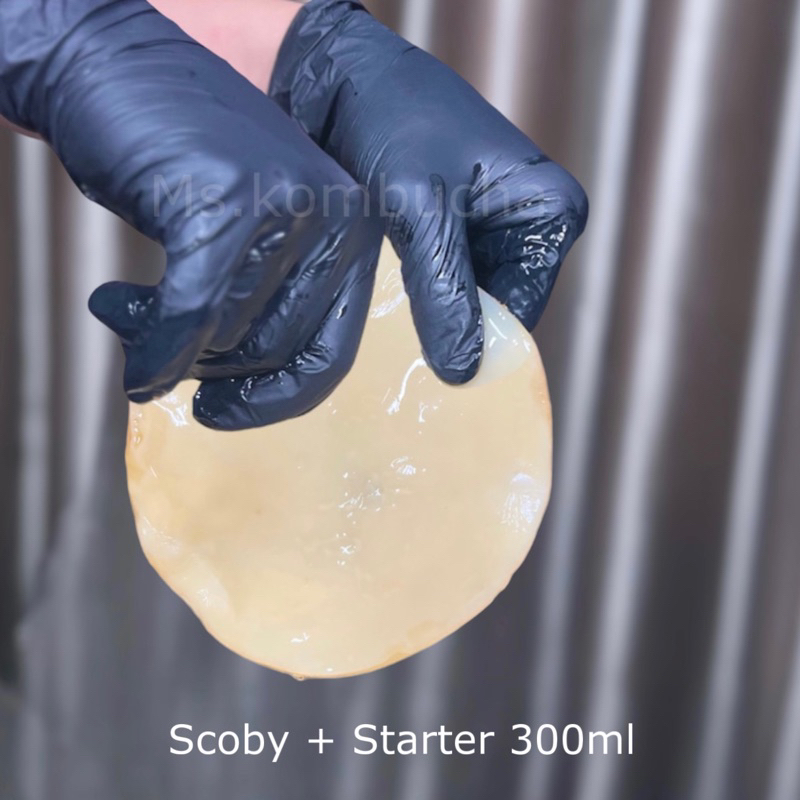 

scoby kombucha